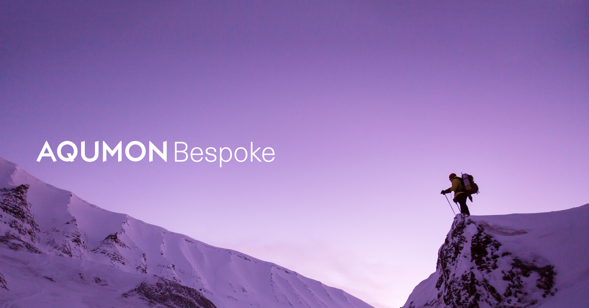 Bespoke: Exceptional Investments for the Professional Investor