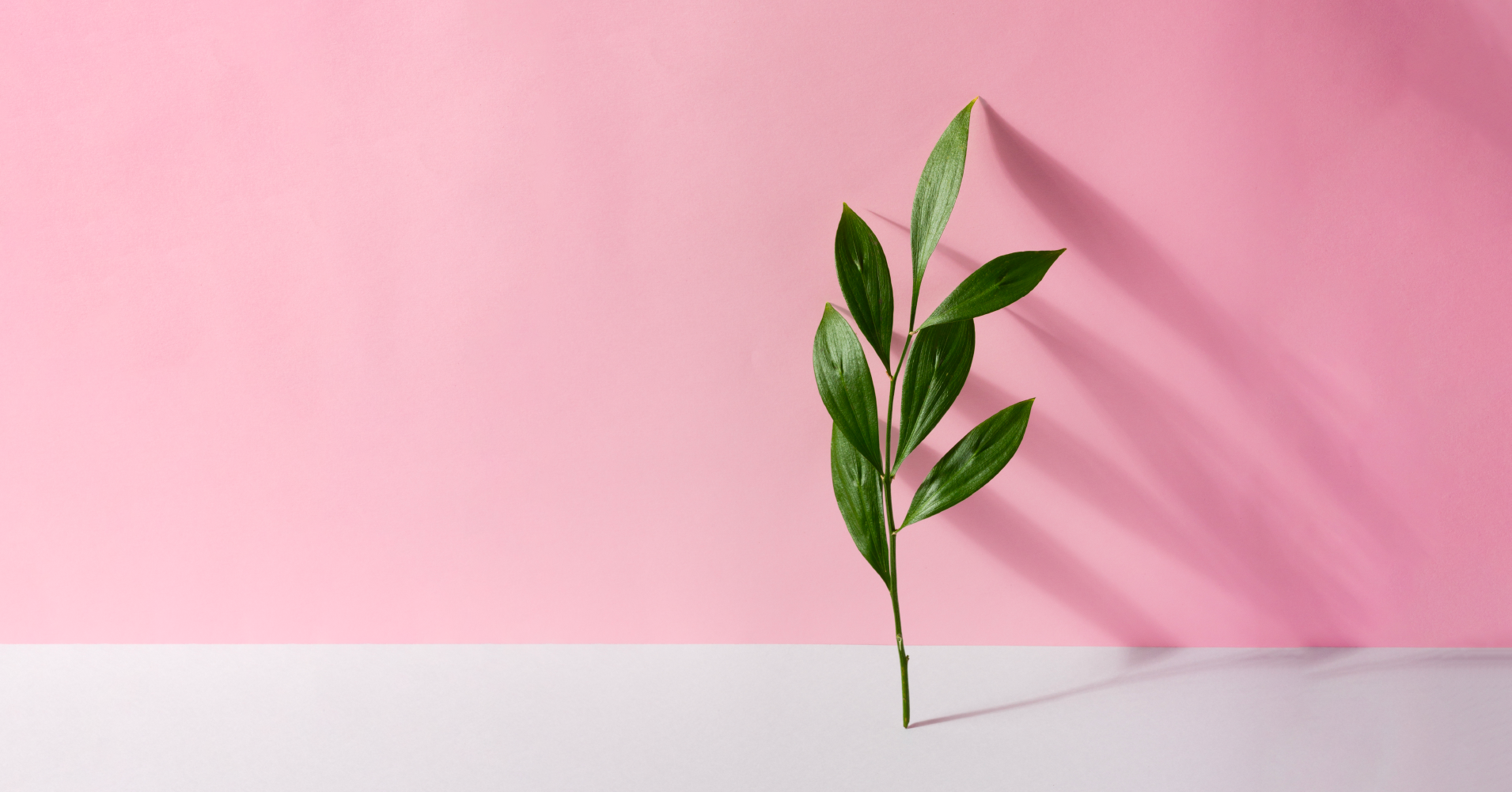 2022 Evolving ESG Investment Trends