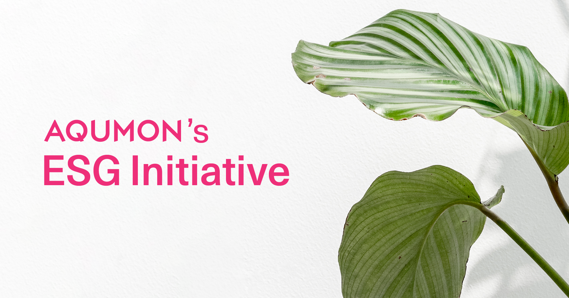 AQUMON’s ESG Pledge: Our Commitment to a Better Future