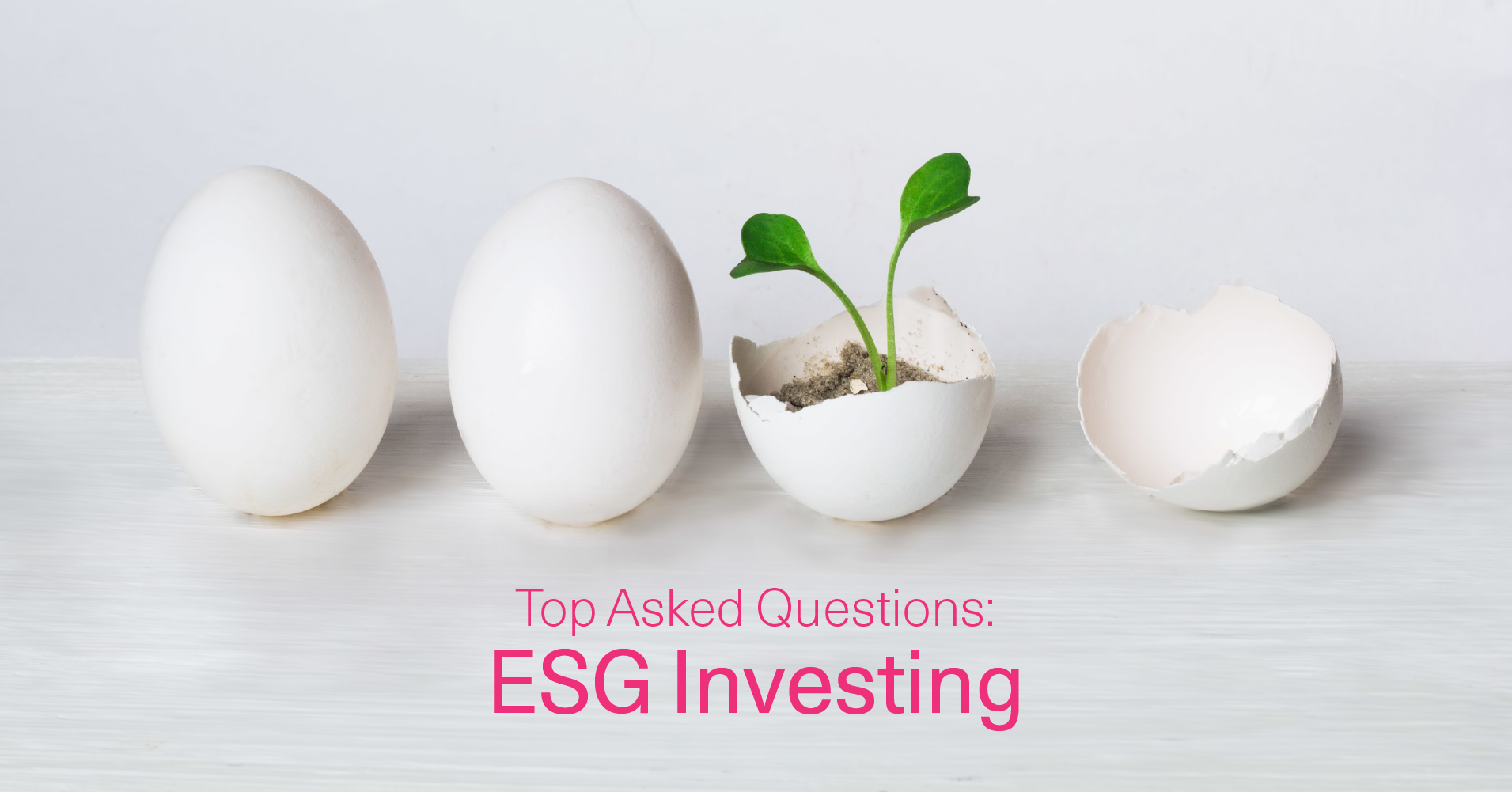 Top Asked Questions about ESG Investing