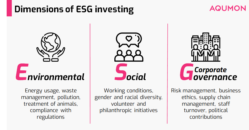 What Is Esg Stand For