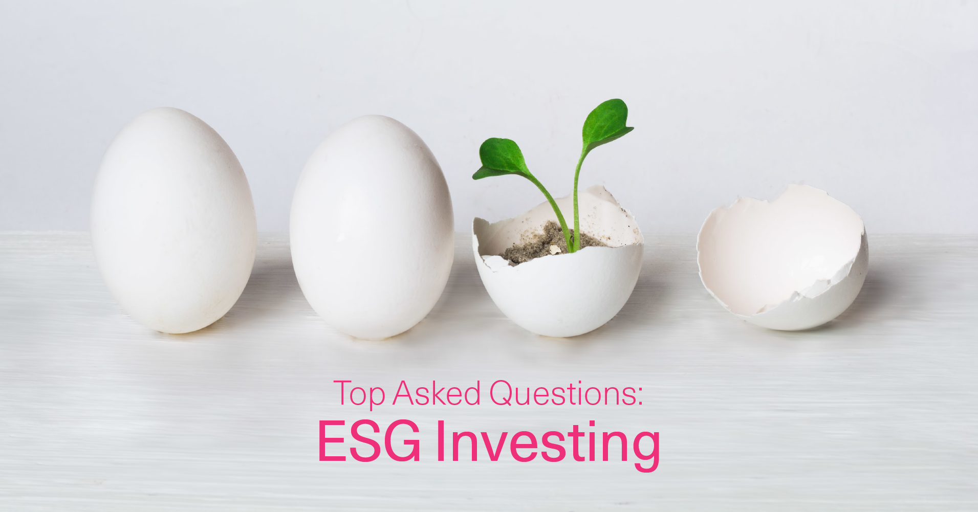 Top Asked Questions about ESG Investing - AQUMON